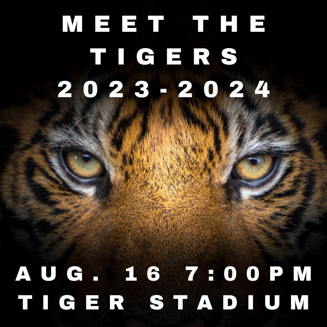 meet the tigers